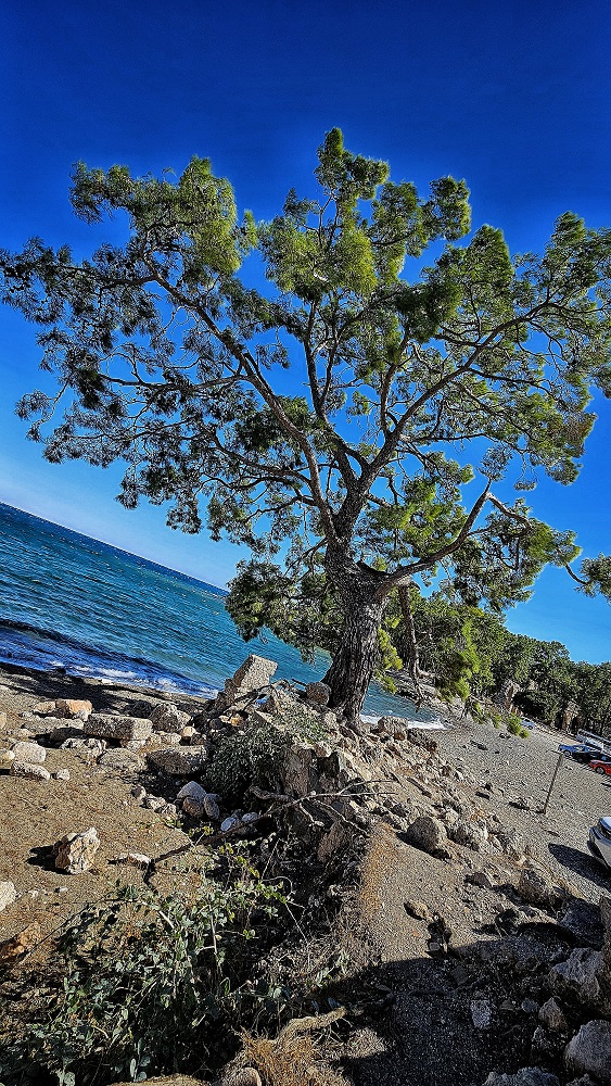 Phaselis 01